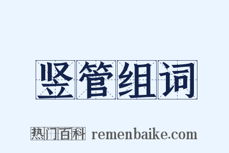 竖管组词是什么意思的图片